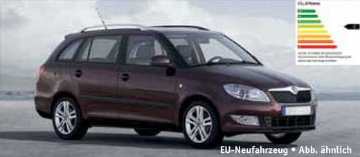 EU-Skoda-Fabia-Combi 2014